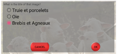 Quiz